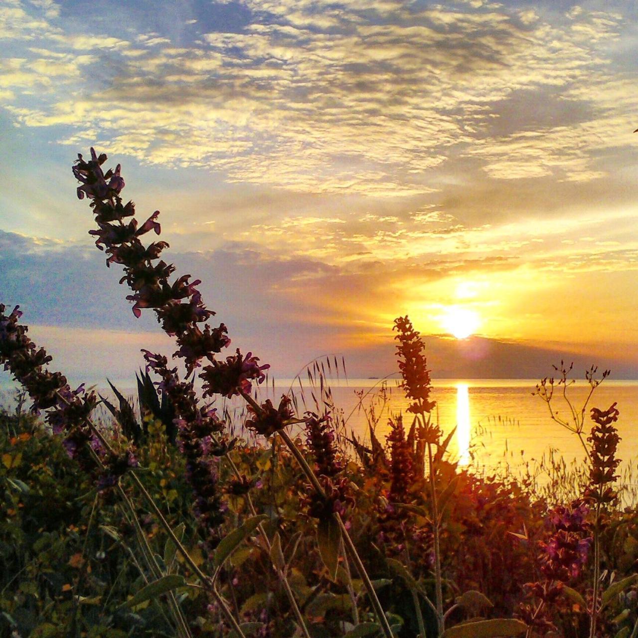 Enalion Apartments Agios Ioannis Kaspaka Dış mekan fotoğraf