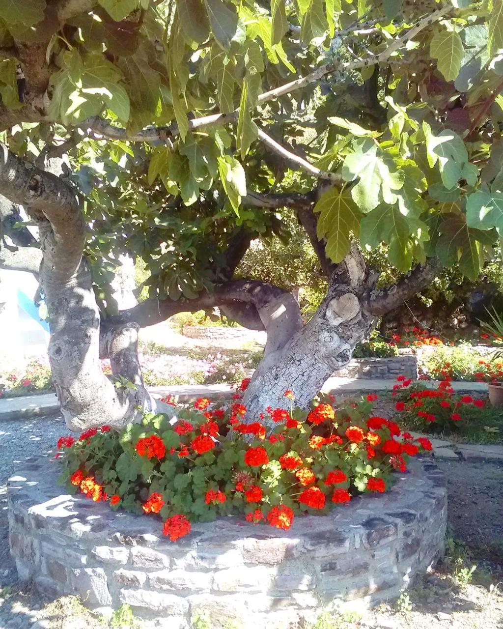 Enalion Apartments Agios Ioannis Kaspaka Dış mekan fotoğraf