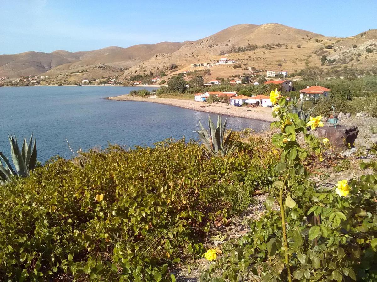 Enalion Apartments Agios Ioannis Kaspaka Dış mekan fotoğraf